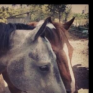 Meet your Posher, Cathy